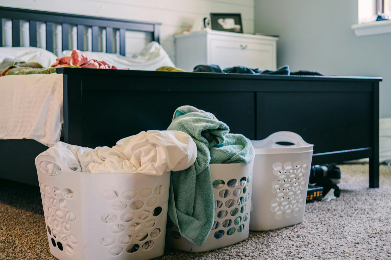 Cleaning & Organization